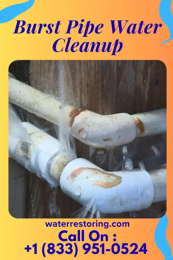 Burst Pipe Water Cleanup in West Fairview, PA