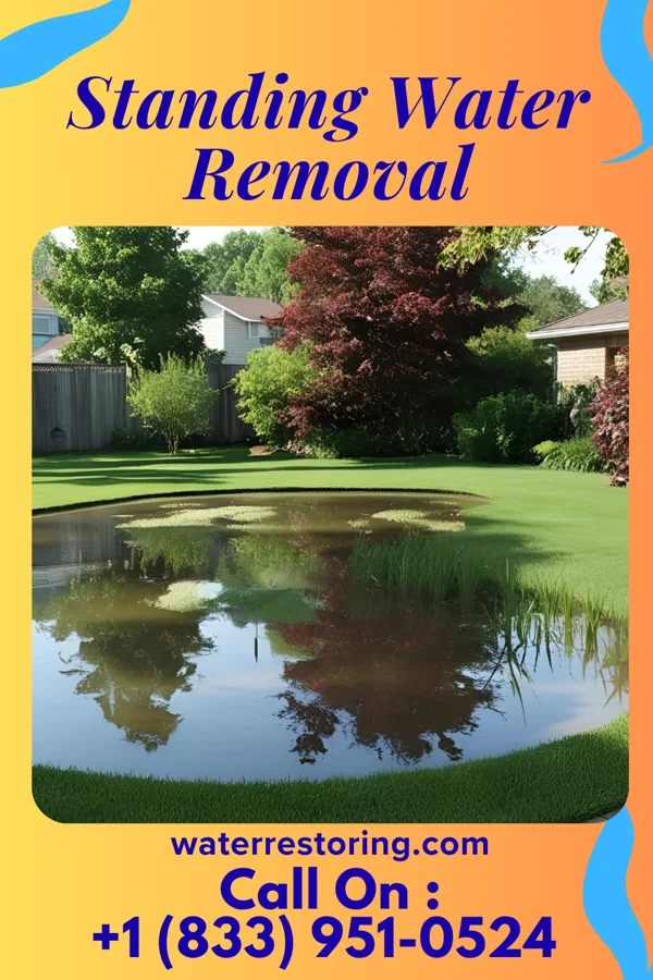 Standing Water Removal in West Fairview, PA